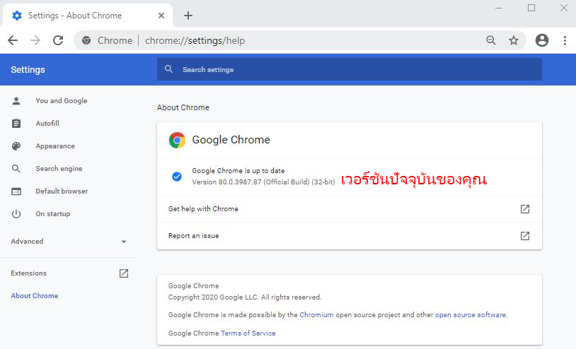 checkversionchrome