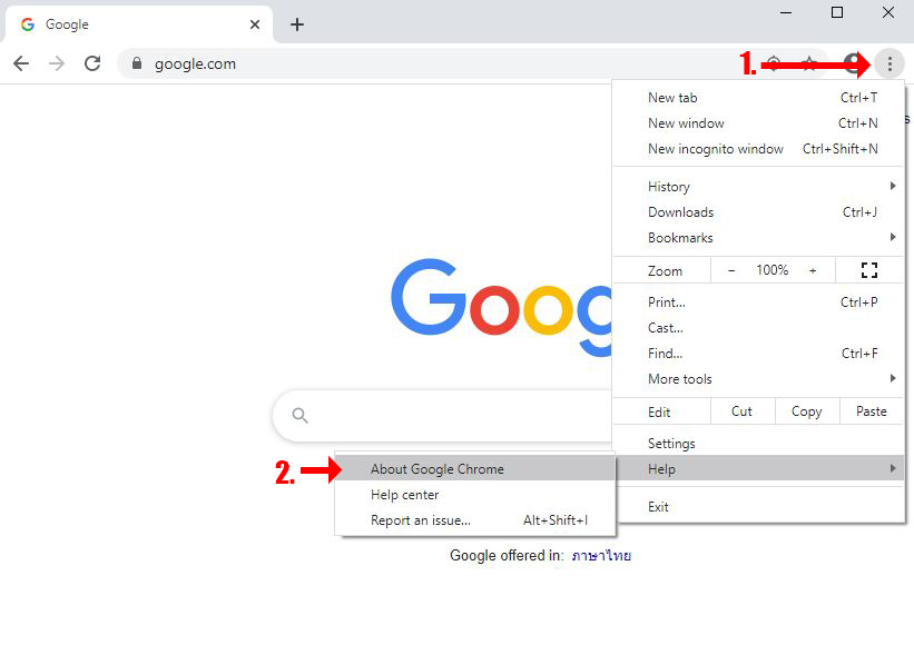 checkversionchrome